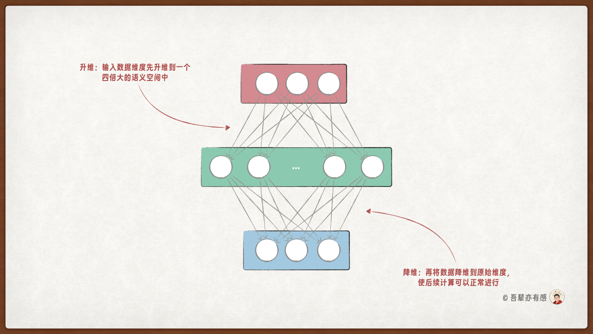 前馈网络层的升维和降维